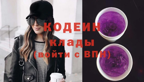 индика Корсаков
