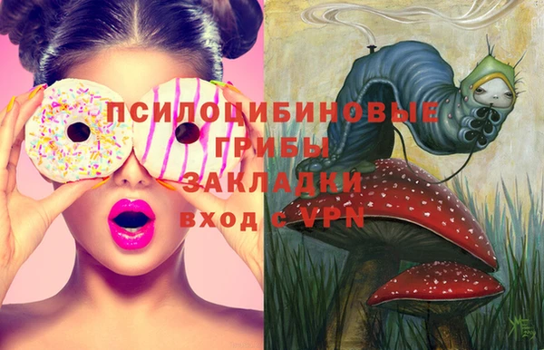 mdma Белокуриха