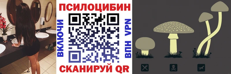 закладка  omg ONION  Галлюциногенные грибы Psilocybe  Рудня 